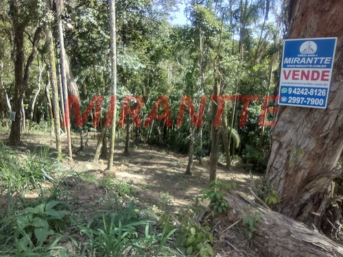Imagem 4 de 4 de Terreno Em Serra Da Cantareira - Mairiporã, Sp - 365135