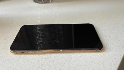 iPhone 11 Pro Max (Usado)