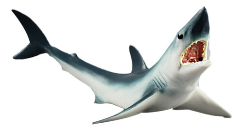 Decoración De Organismos Marinos Con Modelo Animal De Alta S