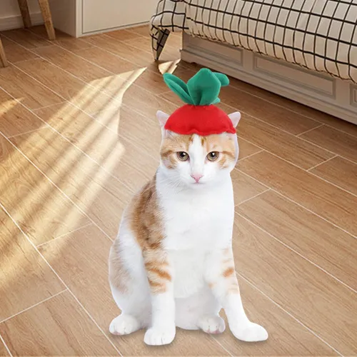 Perro Gato Sombrero Sombrero Traje Sombrero Hojas De Fresa