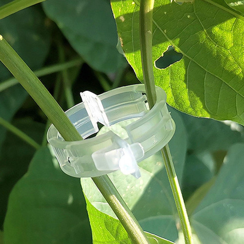 2 Paquete De 2-4 Clips De Soporte Para Plantas 2 Piezas