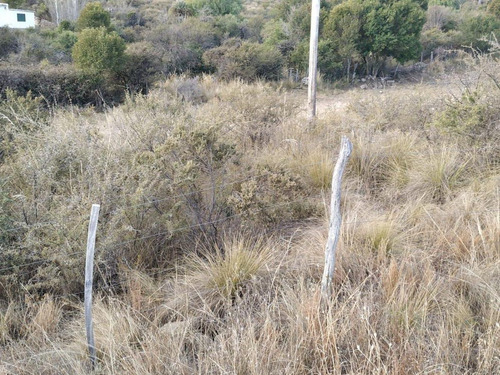 Venta De 20 Hectáreas Sobre Ruta En Tala Cañada...ref 1557