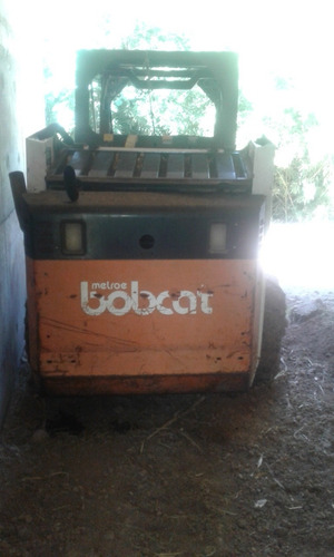 Bobcat