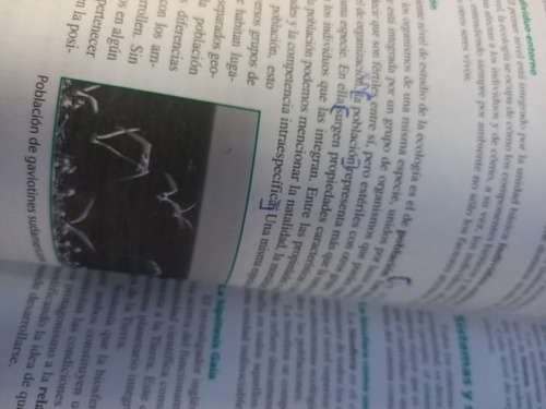 Biología 1 Doce Orcas Secundaria (Usado)