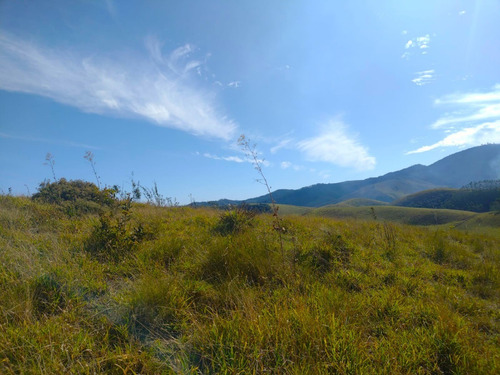 Imagem 13 de 15 de G19 Terrenos/lotes A Venda Com 1000 Metros Quadradados