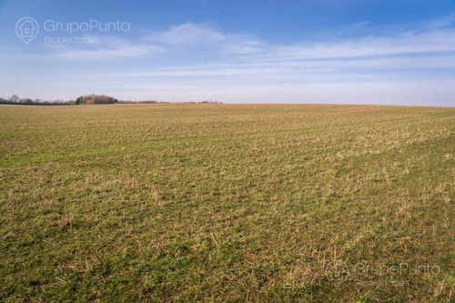 Campo En Venta - Rocha