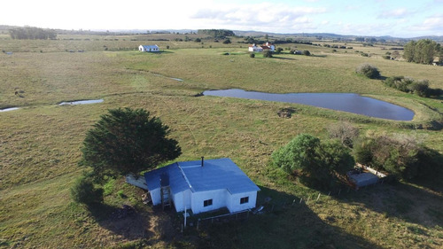 Imagen 4 de 30 de Chacra Punta Del Este, Ruta 12 Km 25,6