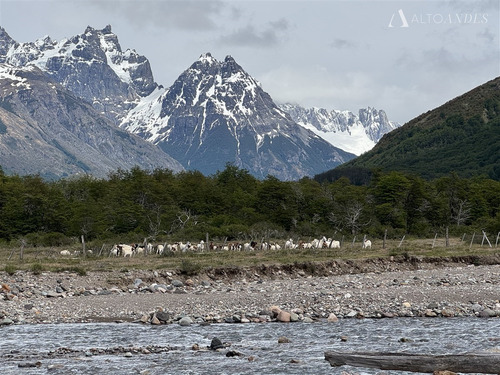 Sitio En Venta En El Avellano, Comuna De Río Ibáñez, Aysén