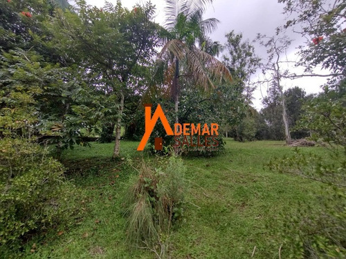Imagem 3 de 30 de Chacara - Ch00123 - 70818259