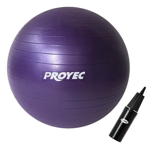 Pelota Esferodinamia 65 Cm Inflador Reforzada Pilates Cuot