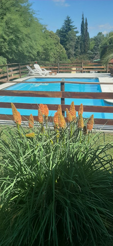 Venta O Consecion - Complejo De 4 Cabañas, 1 Casa, Piscina