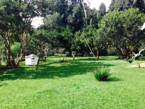 Imagem 7 de 15 de Sítio / Chácara Para Venda, Santa Tereza, 3 Dormitórios, 1 Banheiro, 3 Vagas - 37_2-74925