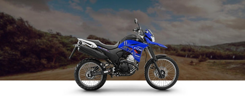 Imagen 5 de 11 de Yamaha Xtz 250