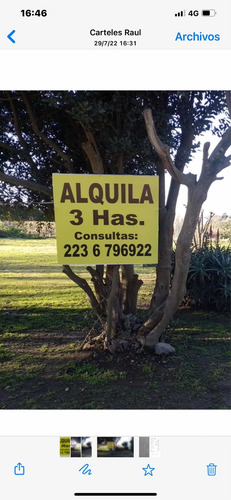 Imagen 2 de 2 de Alquilo 3 Hectareas..