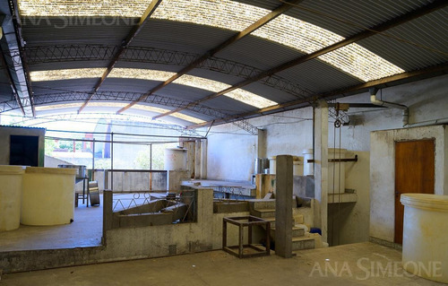 Imagen 6 de 15 de Nave Industrial Con Oficinas - Villa Martelli