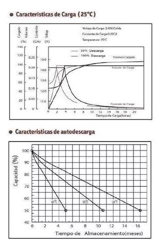 Batería VRLA EV 45AH 12V Netion - Solartex Colombia