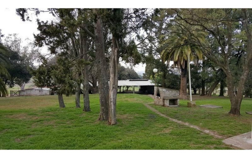 Imagen 9 de 30 de Campo De 59 Has Sobre Ruta, Con Casco, Casa De Invitados, Galpones Y Dependencias