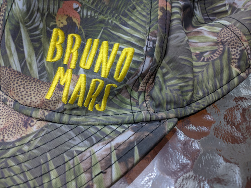Gorra Bruno Mars Moonshine Jungle (Usado)