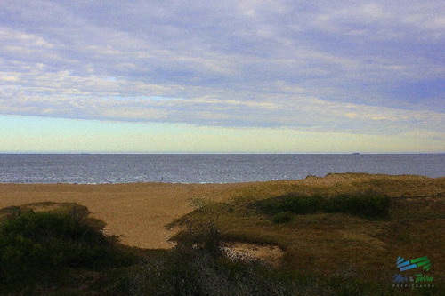 Imagen 11 de 11 de Venta Terreno Primera Linea Playa Mansa - Punta Del Este Mansa