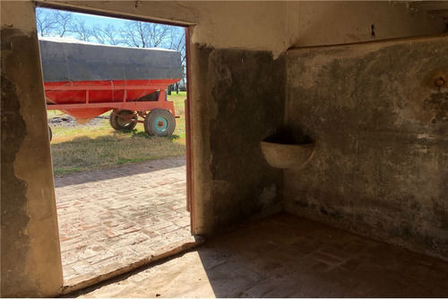 Imagen 17 de 21 de Venta Campo De 195 Ha. En Manzanares Pilar - Único