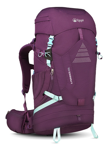 Mochila X-perience Lippi 65 Backpack Morado