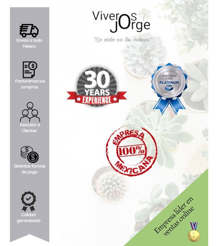 Imagen 4 de 4 de Fertilizante Triple 17, 25 Kg.