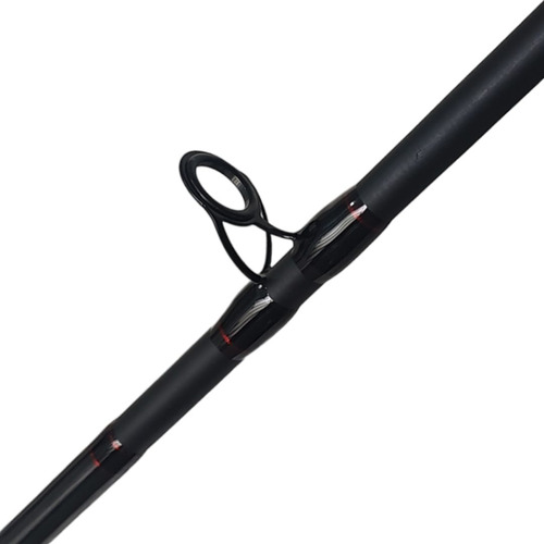 Vara Para Molinete Lumis Eclipse 3.00m - 50lbs - 2 Partes