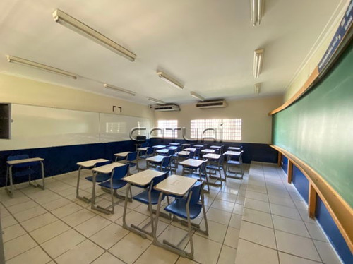 Imagem 12 de 16 de Comercial Prédio Inteiro Com 8 Quartos - 100109-l