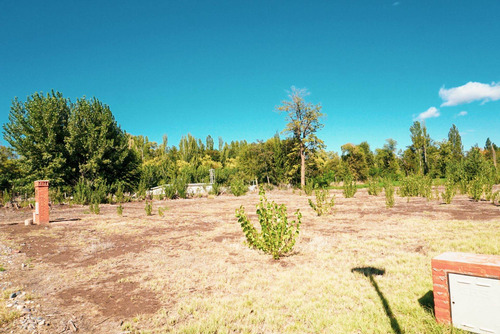 Imagen 14 de 26 de Terreno 1.000 M2 - B° Rincon De Natalia - Plottier