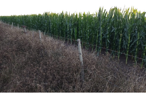 Campo En Magdalena, Agricola-ganadero-dueño Vende Y Financia