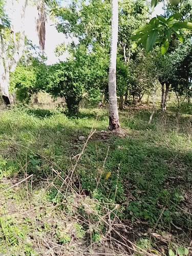 Finca En Venta Los Llanos2