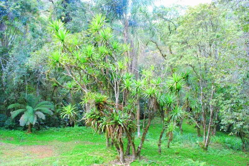 Belíssimo Sítio 5 Alq. Piedade Sp