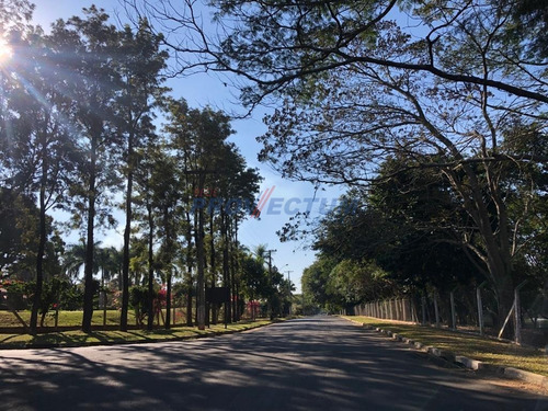 Imagem 9 de 11 de Terreno À Venda Em Parque Xangrilá - Te227629