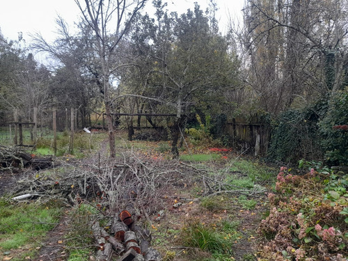 Preparate Para Una Nueva Inversion En Osorno