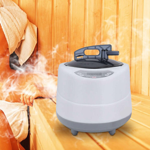 Sauna De De 2 L, Máquina De Fumigación, Enchufe