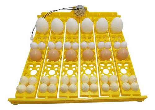 Bandeja De Viragem De Incubadora De Ovos Com Dispositivo De