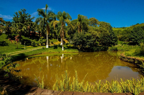 Imagem 22 de 30 de Lindo Sítio Em Santa Isabel, Imperdível !!! - St00004 - 34890271