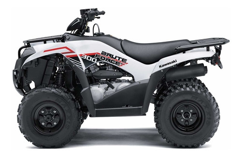 Imagen 16 de 25 de Kawasaki Brute Force 300 2022