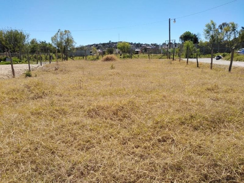 Imagen 7 de 7 de Terreno En Venta La Pilita Seca