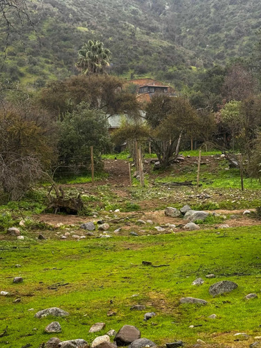Parcelas De Agrado 10000 M2 Curacavi Ruta 68 (176809)