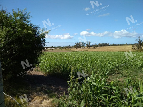 Imagen 9 de 14 de Ruta 104 Zona Ideal Para Vivir Todo El Año - San Carlos Quinta De Medina