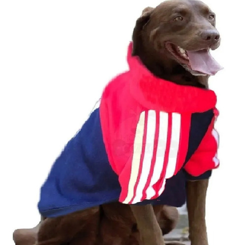 Imagen 6 de 10 de Buzos Abrigo Ropa Perros Grandes Coleccion Clima Frio Cool*