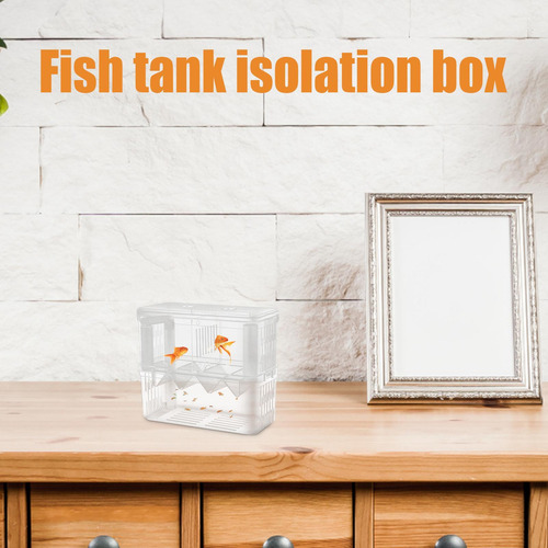 Tanques De Cría De Peces Caja De Cría De Peces Caja De Aisla