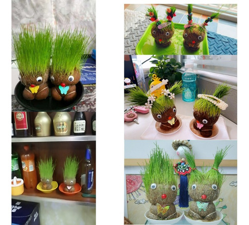 Para Planta En Maceta De Muñeco Con Pelo De Césped /