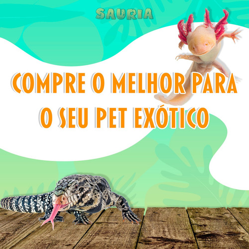 Imagem 3 de 6 de Ração Para Jabuti 280g - Terrestre Pets - Premium