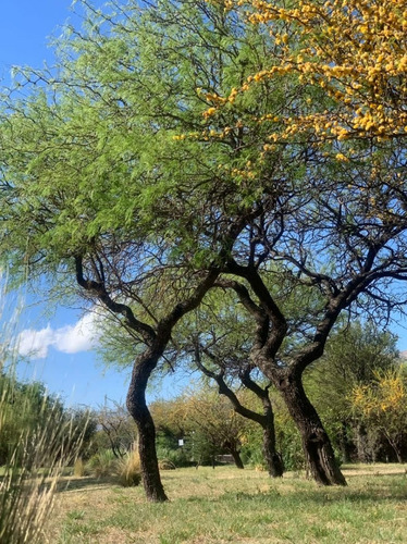 Imagen 29 de 29 de Hermoso Complejo De Cabañas En San Luis - Cortaderas