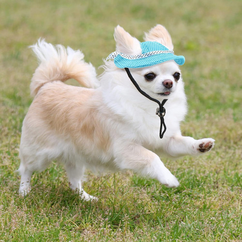 Gorro Frienda Para Perro, 2 Unidades, Parasol Para Mascotas,