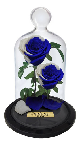 Jardim Das Rosas Encantadas Blue Moon Giuliana Flores | Parcelamento sem  juros