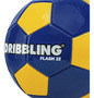 Primera imagen para búsqueda de pelota de futbol