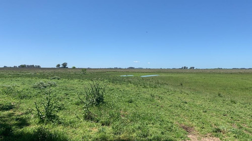 Imagen 1 de 10 de Venta Campo 86 Hectáreas En Magdalena / Alambrado